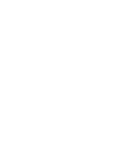 Icon data trimmed