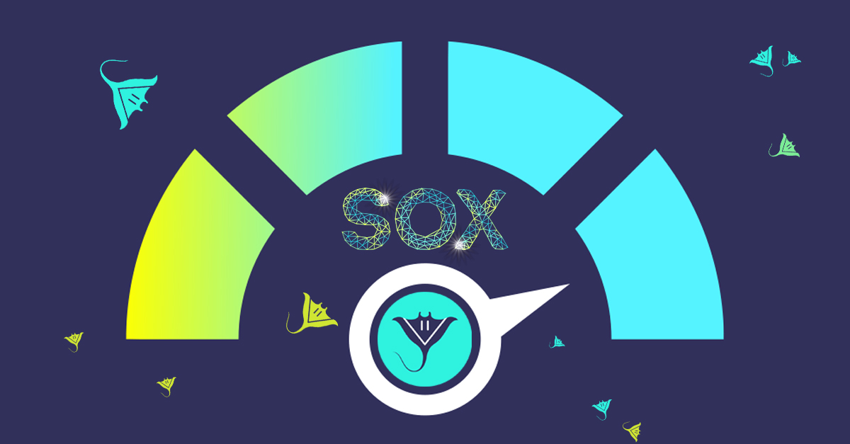 SOX case study blog